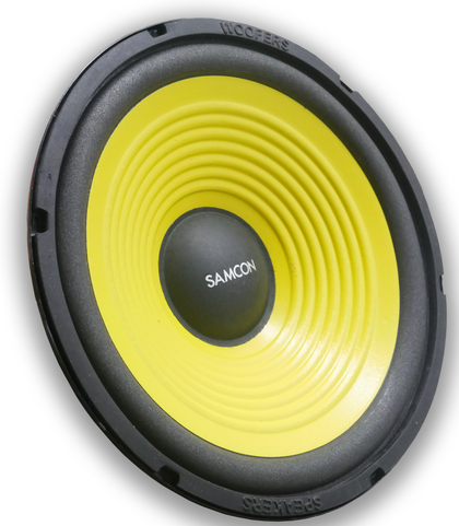 10 inch 300watt 4 ohms subwoofer - NKtronics