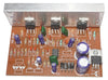 2.1 home theater amplifire board